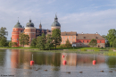 Gripsholms slott en tidig sensommarmorgon.