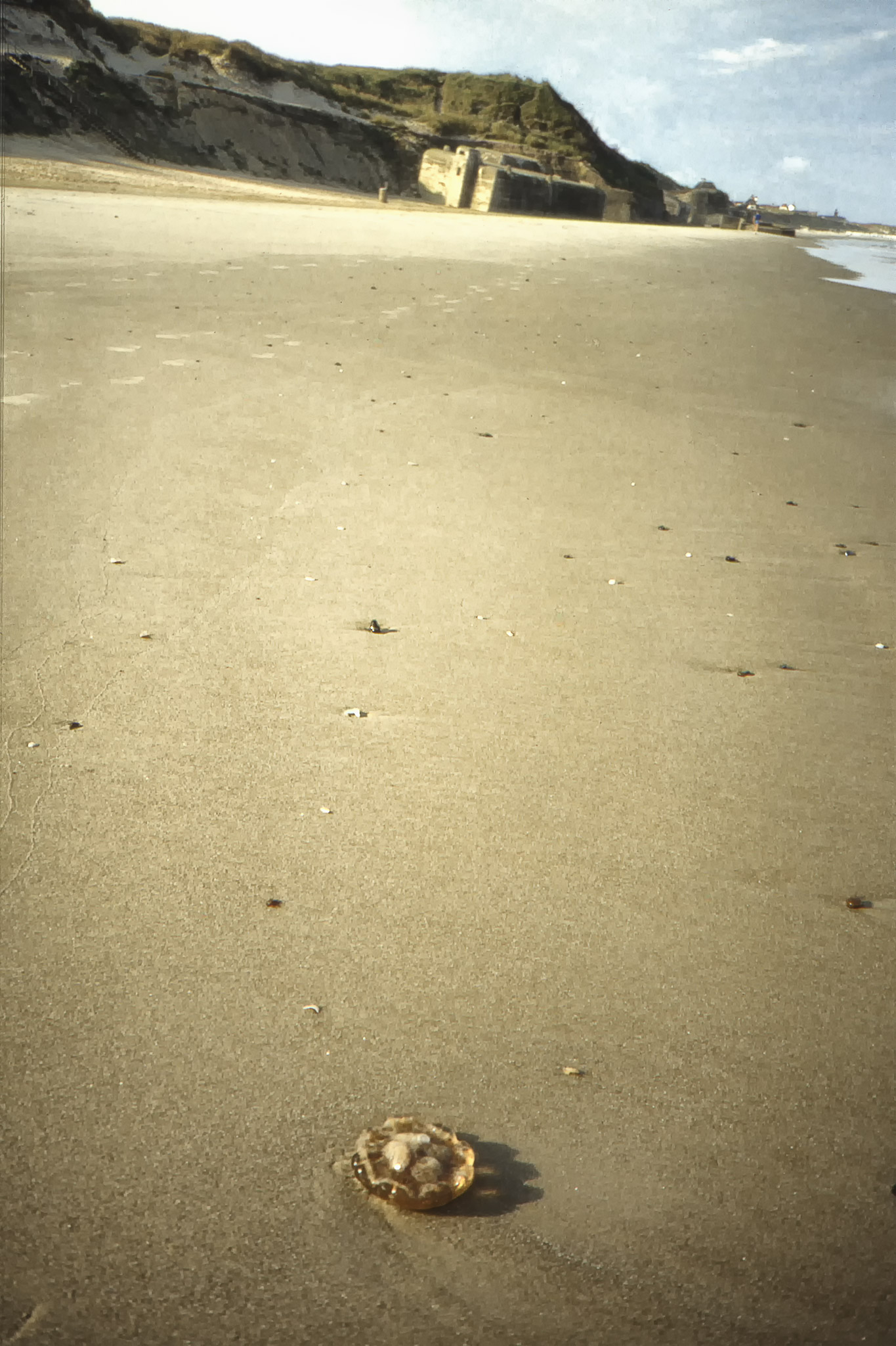 Stranden vid Lökken med manet och bunker.