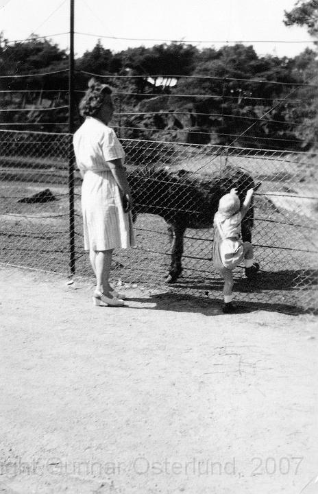 Jag och mamma tittar på djuren i Slottsskogen, Göteborg