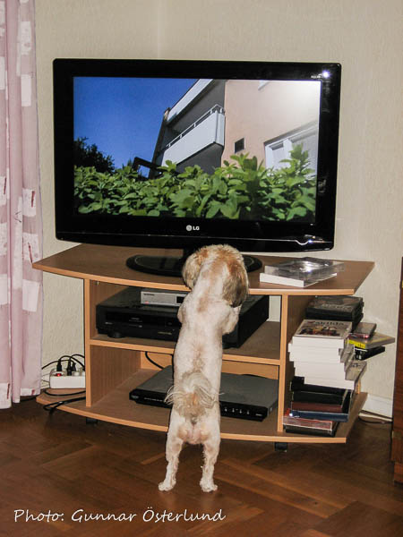 Mimi har koll på TV-utbudet.