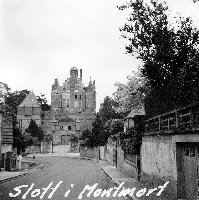 Slott i Montmort