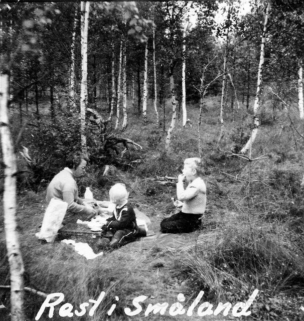 Matrast i Småland