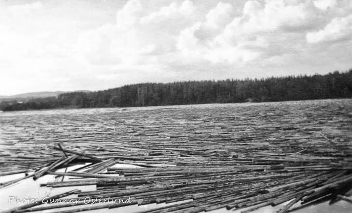 Timmer vid Bomsund. Man flottade timmer i Indalsälven.