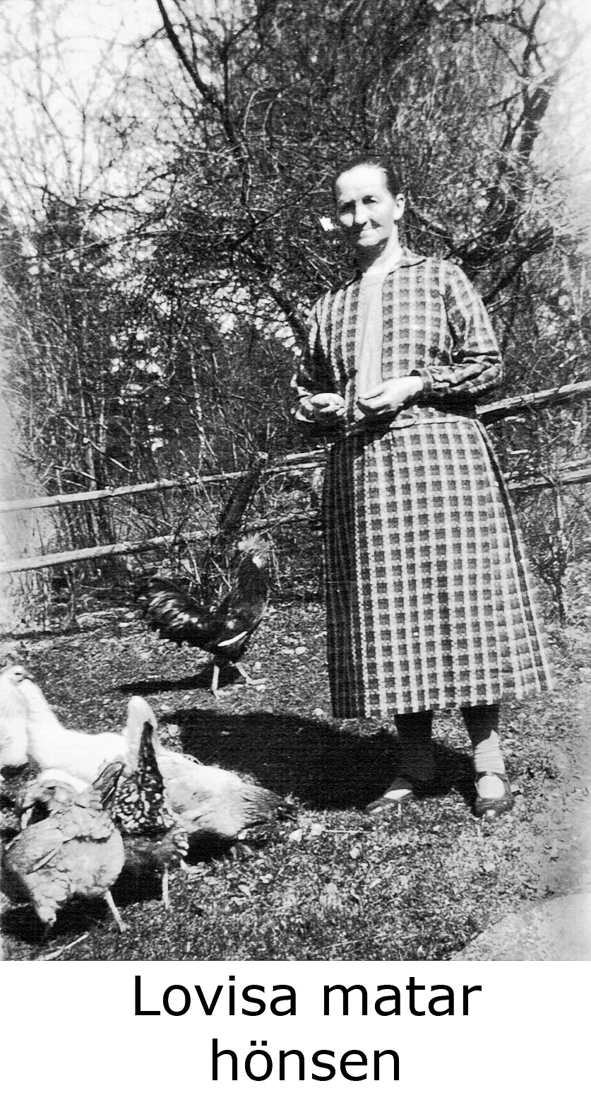 Min farmor Lovisa Österlund
