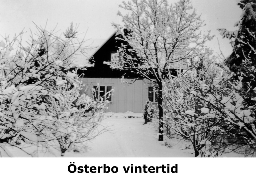 Österbo vintertid