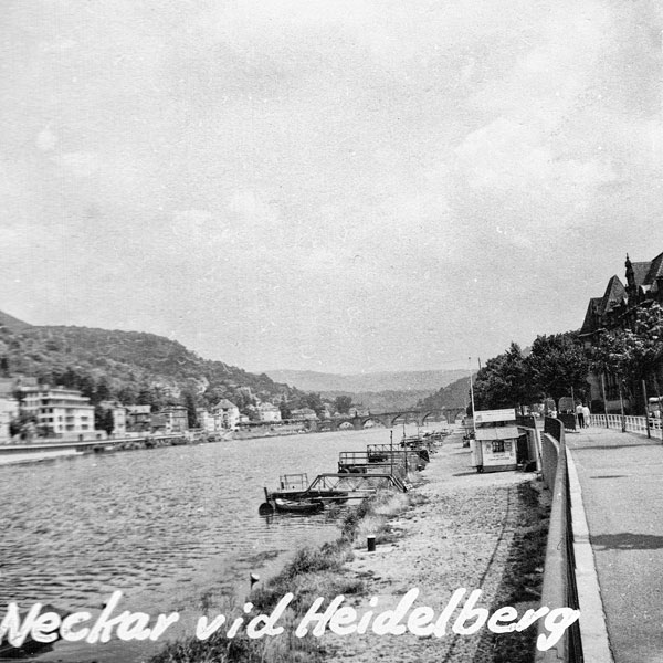 Floden Neckar vid Heidelberg.