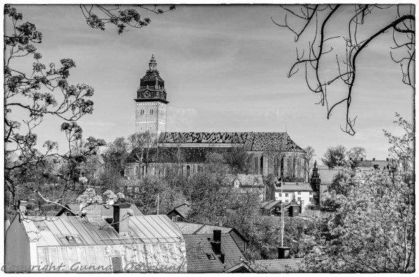 Domkyrkan