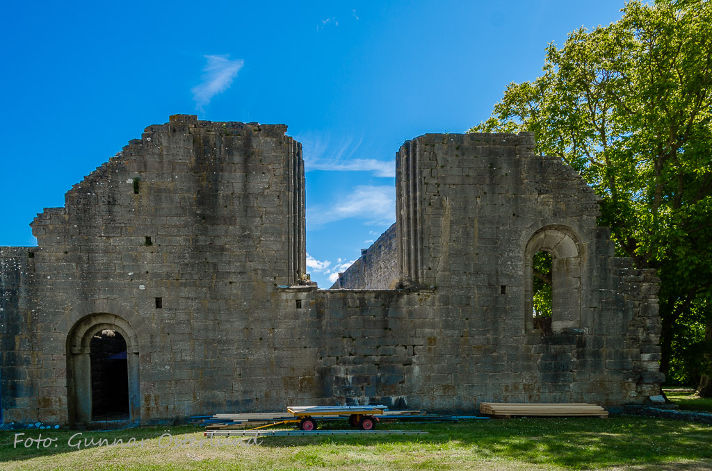 Kyrkoruin, Roma kloster.