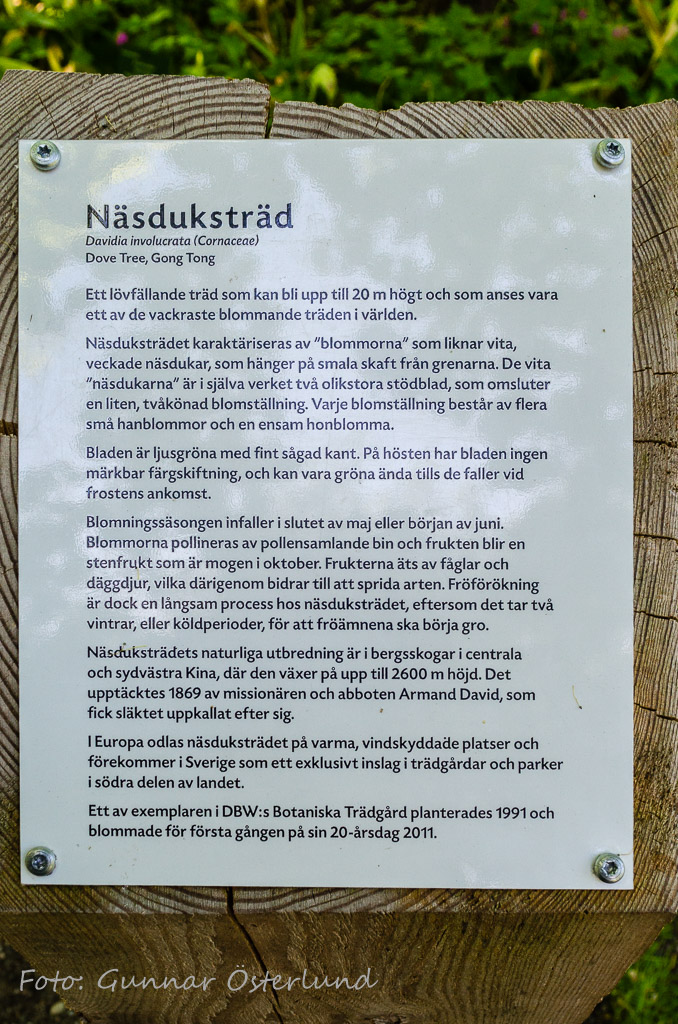 Skylt i botaniska trädgården, Visby.