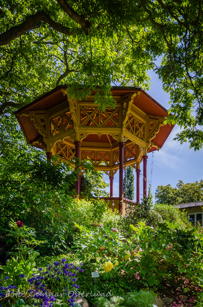 Botaniska trädgården i Visby.