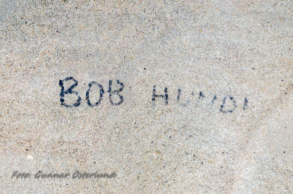 Bob Hund