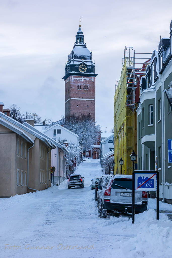 Domkyrkan i vinterskrud.