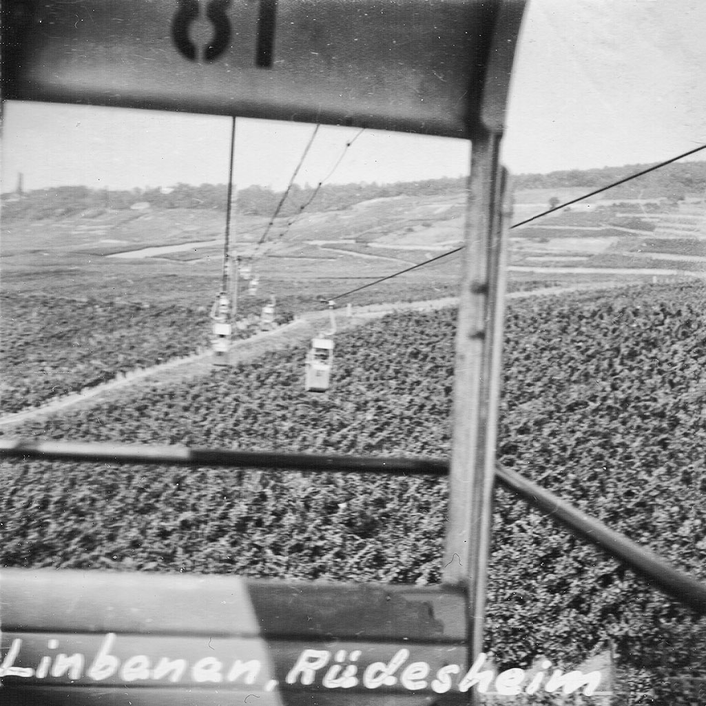 Utsikt från linbanan över Rhendalen
