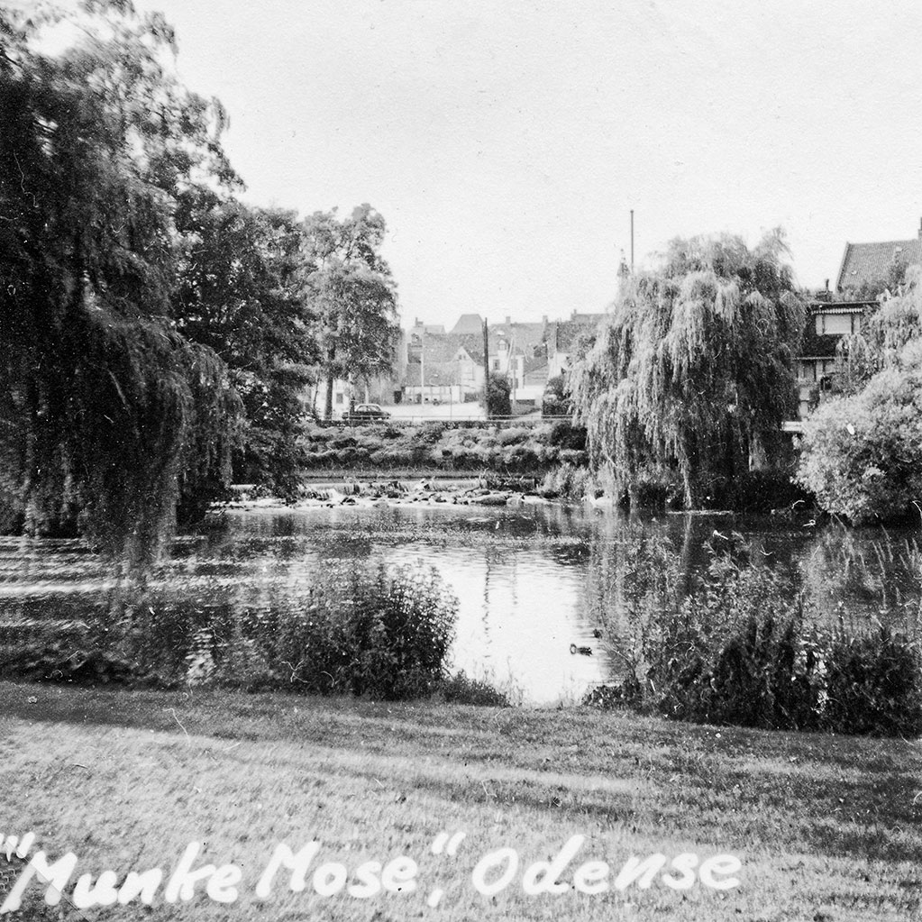 "Munke Mose", en park i Odense.