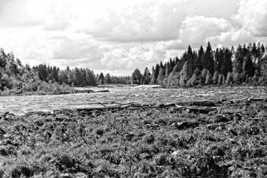 Västerdalälven vid Björbo. Flottning av timmer pågick.